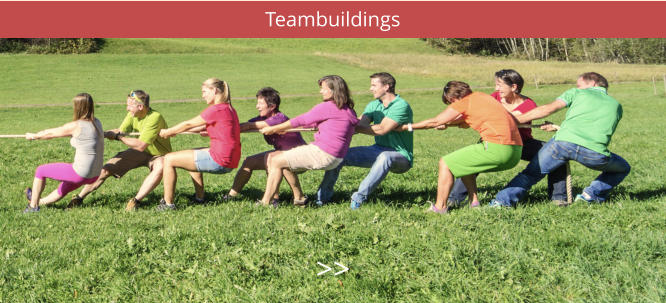 Teambuildings >>