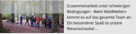 Zusammenarbeit unter schwierigen Bedingungen - Beim Waldklettern  kommt es auf das gesamte Team an.   Ein besonderer Spaß ist unsere  Riesenschaukel …