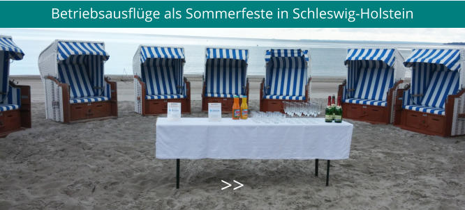 Betriebsausflüge als Sommerfeste in Schleswig-Holstein >>