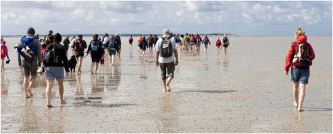 Nordsee Betriebsausflug