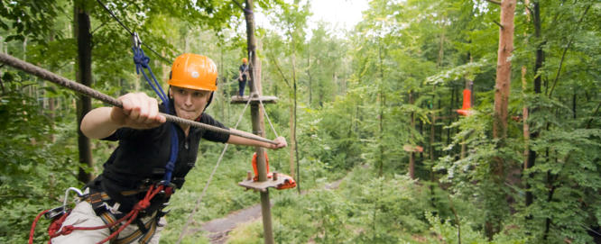 Betriebsausflug Klettern im Wald